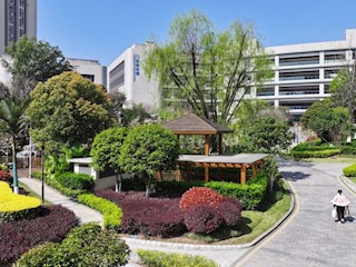 花园式美丽医院